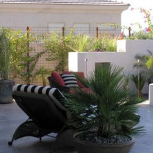 Side Yard