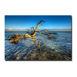 Ready2HangArt - "Breaking the Surface" Canvas Art By Bruce Bain, 30"x40" - Prints And Posters