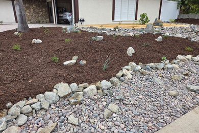 This is an example of a mid-sized modern drought-tolerant and full sun front yard landscaping in Orange County.