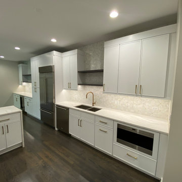 Lincoln Park Elegant full home renovation
