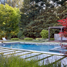 Landscape Ideas