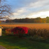 View from the back porch this morning..