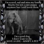 Linda Denton's photo