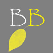 Birchbright Design's photo
