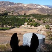 Kathie Ferrante's photo