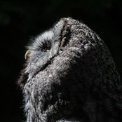 James Mathers's photo