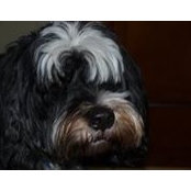Lynne Leguerrier's photo