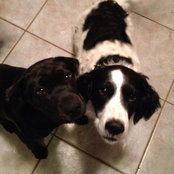 Sally Jones's photo