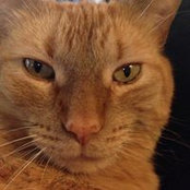 Janis Mackmiller's photo