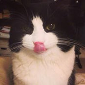 Jennifer Jiang's photo