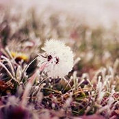 Theodora Dylan's photo