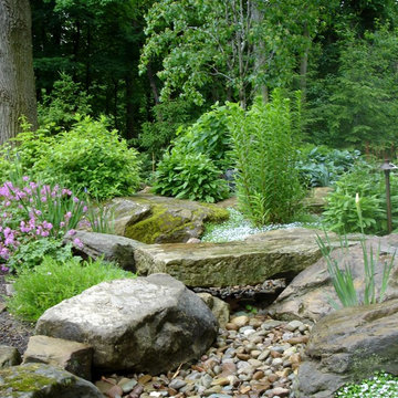 Brecksville Backyard