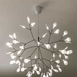 Heracleum LED Suspension by Moooi - Pendant Lighting