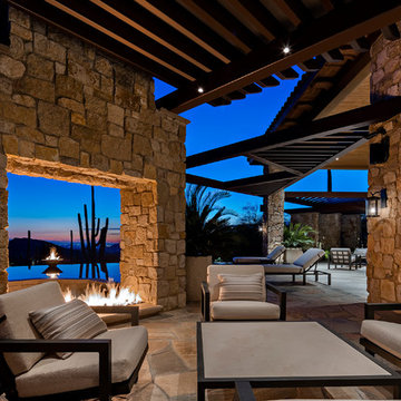 Saguaro Forest Contemporary