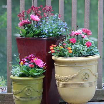 Summer Container Garden