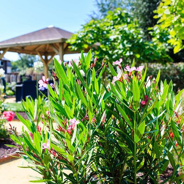 Création et aménagement d'un jardin