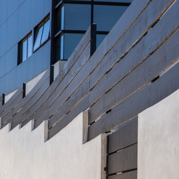 Playa del Rey Modern