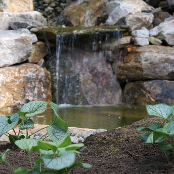 Ponds