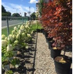 Garden Centre - Outdoor Products