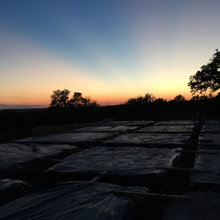 Mira Vista