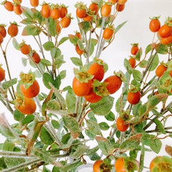 Orange rosehip berries - Artificial Flowers, Plants & Trees