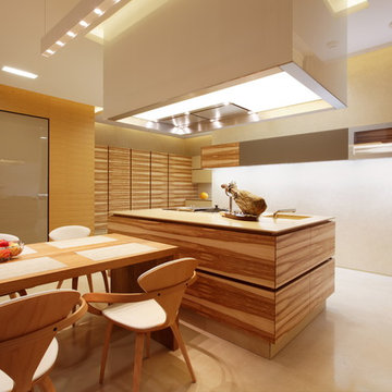Berlin Penthouse