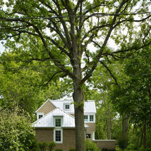 Dream Houses