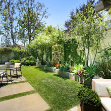 Rifkin's Landscape