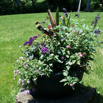 Misc. container garden pots, hummingbird, butterfly gardens