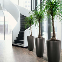 Modern Planter - Products