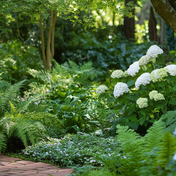 Serene Shade Garden Path