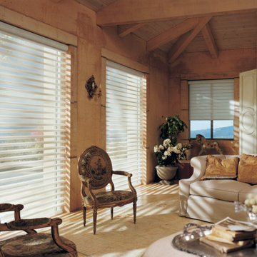 Hunter Douglas Pirouette®