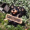 Solar Welcome Bear