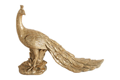 Gold Peacock