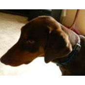 Brenda Craig's photo