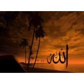 Foto von Omar El Ramly