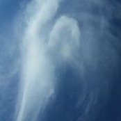 Nancy Fernandez's photo