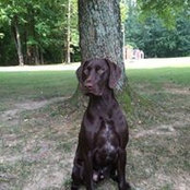 Brian Vanzant's photo