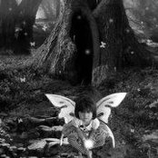 Crystal Tannous's photo