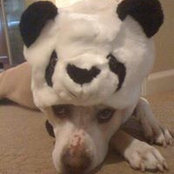 Lily Sheung's photo