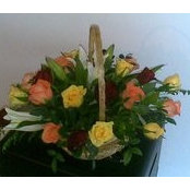 Sumaya Kola's photo