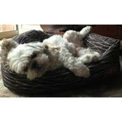 Vincent Jusuf's photo