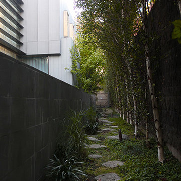 An Urban Forest - CANTERBURY