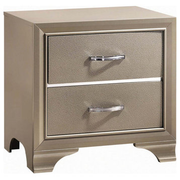 2 Drawers Contemporary Nightstand With Mirror Accents And Metal Pull,Silver