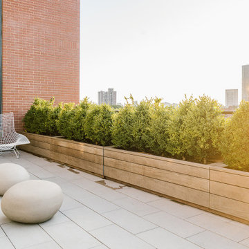 Urban Roof Terrace III