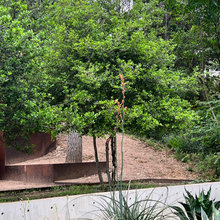 Wallis Pool/Landscape