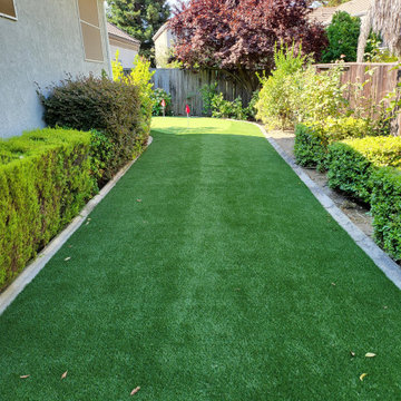 Side Yard Turf