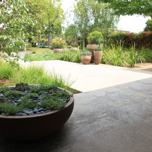 Foster City backyard makeover