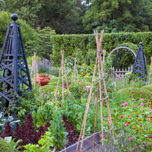 Vegy Garden