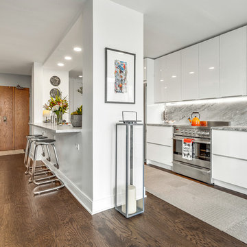 Evanston Condo Remodel